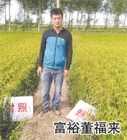 使用對(duì)照