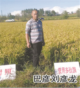 使用對(duì)照