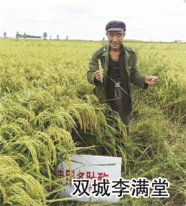 使用對照