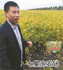 使用對照