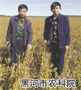 使用對照