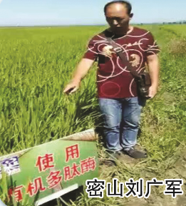 使用對(duì)照