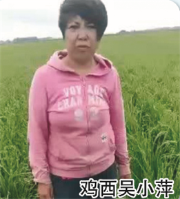 使用對(duì)照