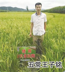 使用對(duì)照